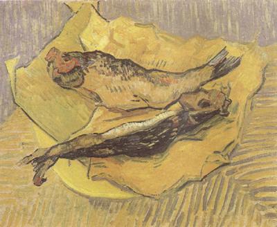 Vincent Van Gogh Crab on Its Back (nn04) France oil painting art